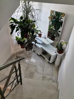 Guest House Konomaevi - Sosopol - 5