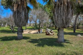 Tenuta l'Alba di Monte Matino - Mobil Home - 8