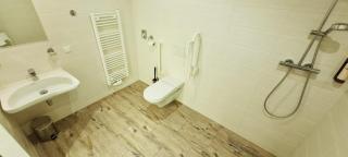 Kurhotel Renona Rehabilitation - Semmering - 2