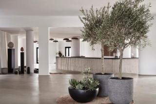 Orama Hotel & Spa - Fira - 5