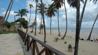 Eco Paradise Temporada Aconchegante - Joana Vasconcelos - 4