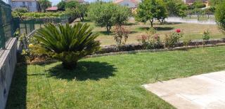 Quinta do Paulo - Caramulo - 5