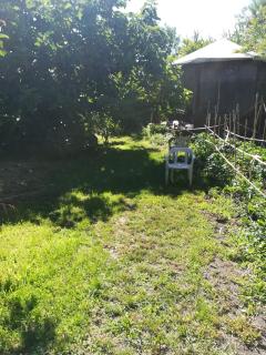 AFFITTA CAMERE CASA DELLE ROSE - 4