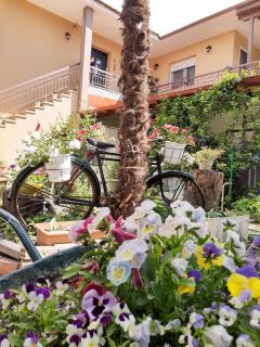 Rania's guest house - 9