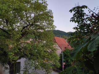 Ferienwohnungen und Zimmer in Reutlingen-Gönningen - Reutlingen - 2