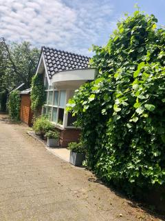 Prins Heerlijk - Sassenheim - 0