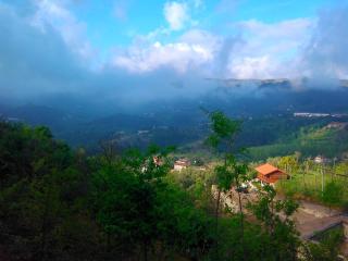 Casa da Fragoeira - 7