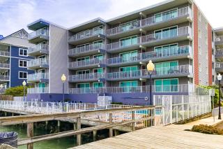 Assateague House II - Ocean City - 2