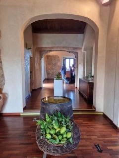 B&B Il Grillo - Santa Maria del Cedro - 7