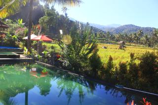 Amartya Puri Green Cottages - Munduk - 1