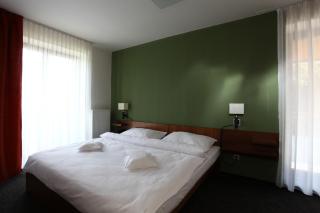 Beltine Forest Hotel - Ostravice - 6