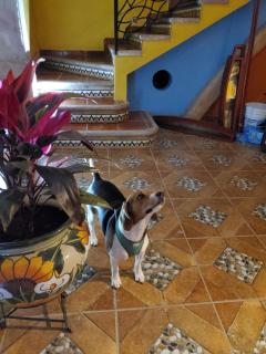 Hotel Villarreal - Zacatecas - 3
