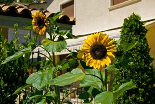 B&B Angela - Scanno - 8