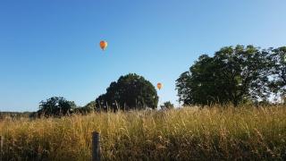 Les Roulottes Pomponnaises - Saint-Pompont - 1