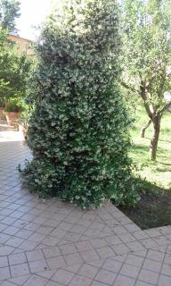 Casa di Heidi - Cerreto Sannita - 8