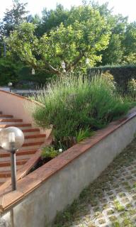 Villa Rosa - 1