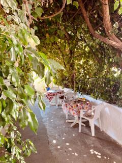 Afroditi Pension - Archangelos - 9