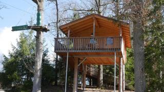 Baumhaus Hotel Voglsam - 1