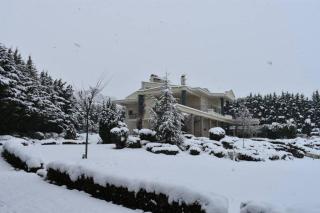 Villa in Elassona-Βίλα στην Ελασσόνα - Elassona - 5