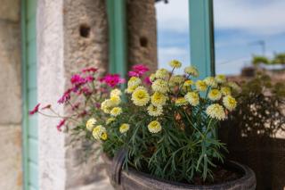 Parona Holiday Home - 8