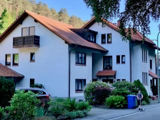 Ferienwohnungen im Herzen des Pfälzerwaldes - 9