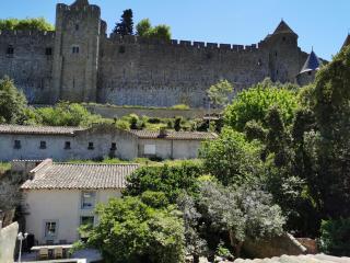 Le Cellier de Beaulieu, au pied de la Cité, Maison de Vacances avec Climatisation et Jacuzzi - Carcassonne - 1