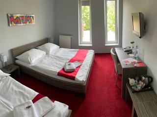 Hotel Olympia - Kopřivnice - 3