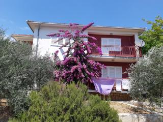Apartman VeDE Baćina - 3
