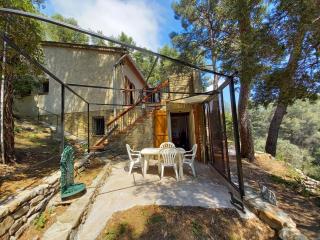 LES PINS - Le Castellet - 5