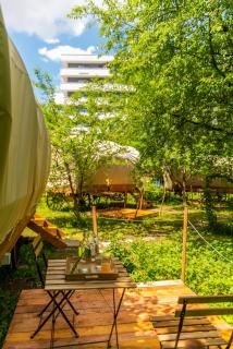 Dragonfly Gardens - The Wagons - Braşov - 3
