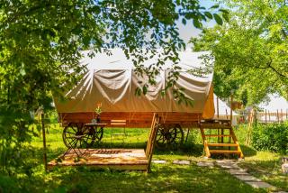 Dragonfly Gardens - The Wagons - Braşov - 0