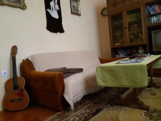 Apartman VeDE Baćina - Baćina - 7