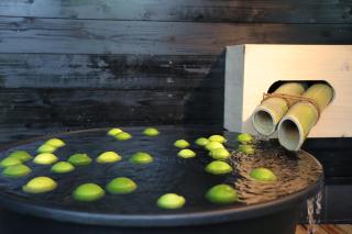 かわもと別邸３４６６ - 3