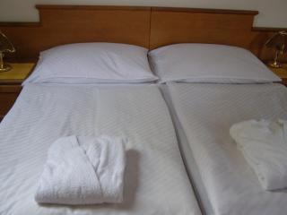 Hotel Auri - Rudník - 7