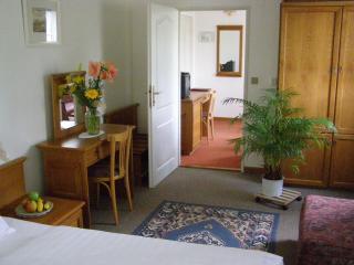 Hotel Auri - Rudník - 6