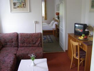 Hotel Auri - Rudník - 5