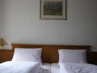 Hotel Auri - Rudník - 4