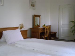 Hotel Auri - Rudník - 3