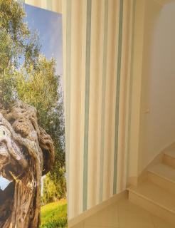 Villa Attico 44 - Bagnolo del Salento - 3
