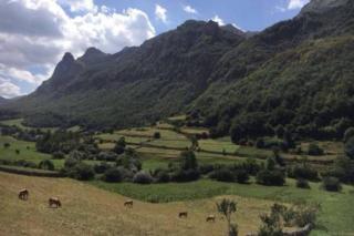 La Osera del Coto - 8