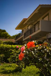 Meraki apartments - Lassi - 8