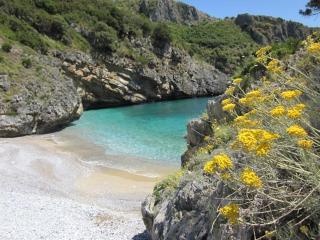 Cilento Room - Marina di Camerota - 1