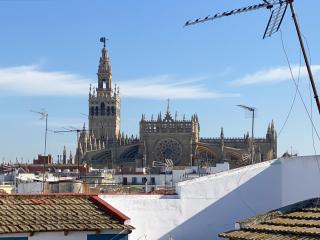 Lateral Suite Rodo - Siviglia - 8