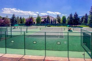 Among the Wildflowers - 4