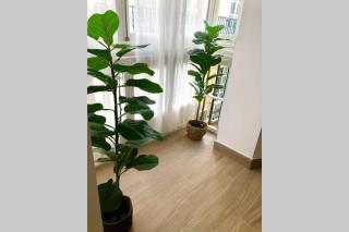 GATU PREMIUM Villa Libertad, preferente mayores de 25 años y familias - Cadice - 9