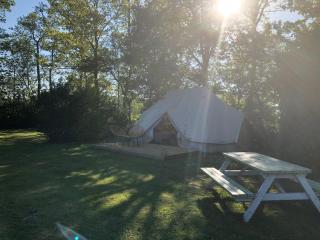 Glamping op boutique camping Whanau - Rutten - 3