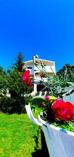 Apartments Sime - 1
