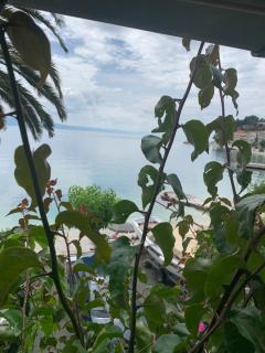Seafront aparment - 6