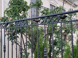 Vila Caviar - 1