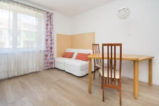 Sunny apartment - Olomouc - 3